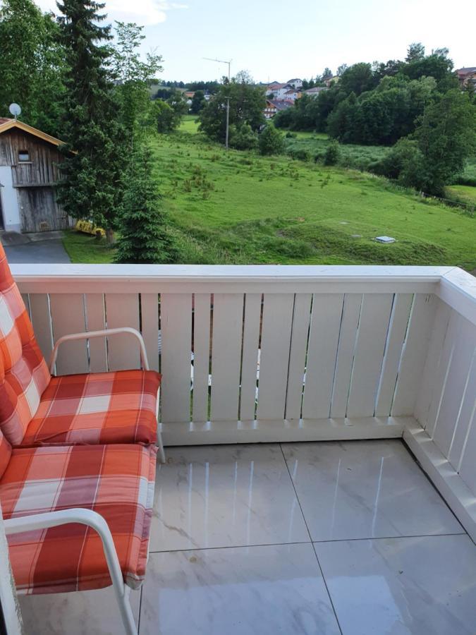 Andrea'S Apartment Rinchnach Екстер'єр фото